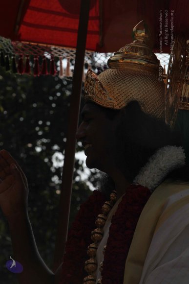 20100101_Photo_1253_IMG_4653_CMP_WM