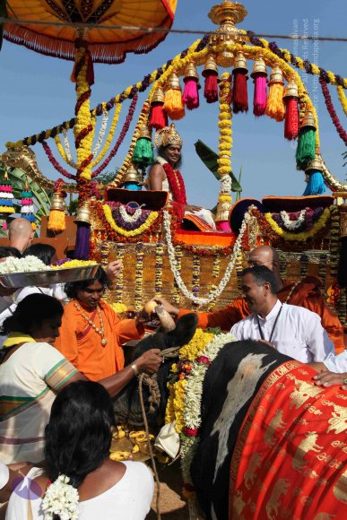 20100101_Photo_1320_IMG_4684_CMP_WM