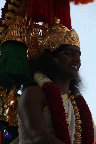 20100101_Photo_1335_IMG_4655_CMP_WM