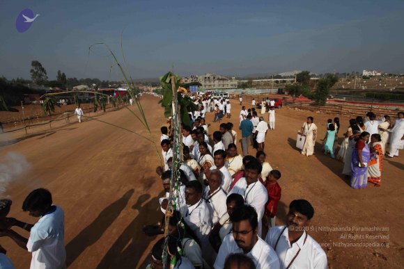 20100101_Photo_1376_IMG_4412_CMP_WM