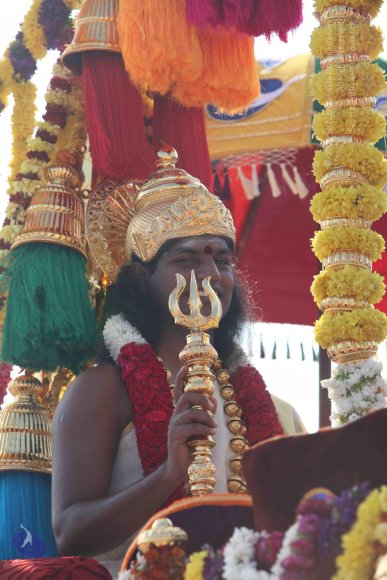 20100101_Photo_1396_IMG_4439_CMP_WM