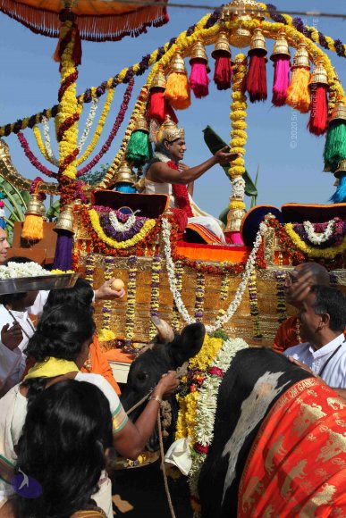 20100101_Photo_1484_IMG_4683_CMP_WM