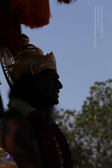 20100101_Photo_1489_IMG_4657_CMP_WM