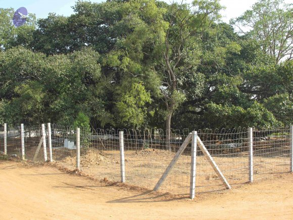 20100101_Photo_1064_IMG_1572_CMP_WM