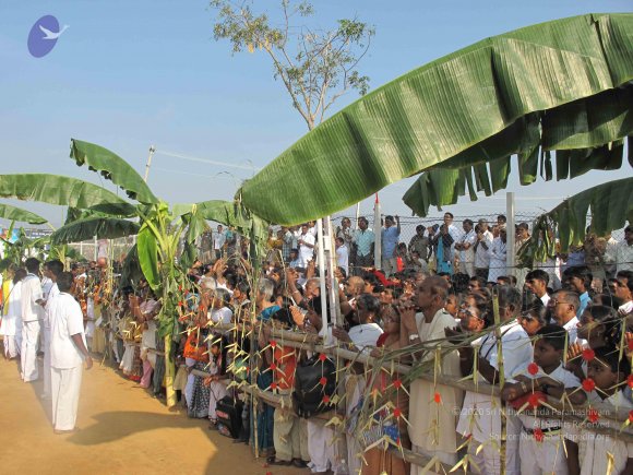 20100101_Photo_1101_IMG_1325_CMP_WM