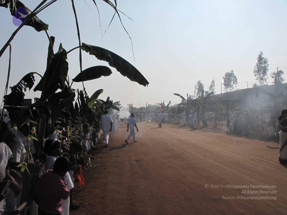 20100101_Photo_1102_IMG_1412_CMP_WM