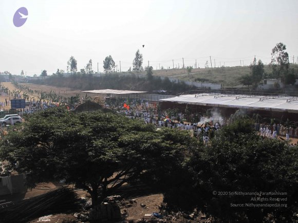 20100101_Photo_1146_IMG_1431_CMP_WM