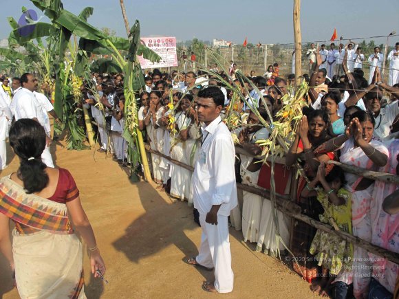 20100101_Photo_1233_IMG_1344_CMP_WM