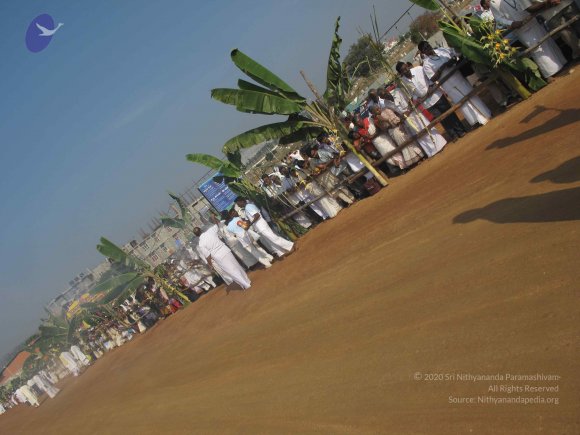 20100101_Photo_1285_IMG_1402_CMP_WM