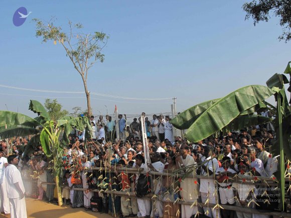 20100101_Photo_1295_IMG_1324_CMP_WM