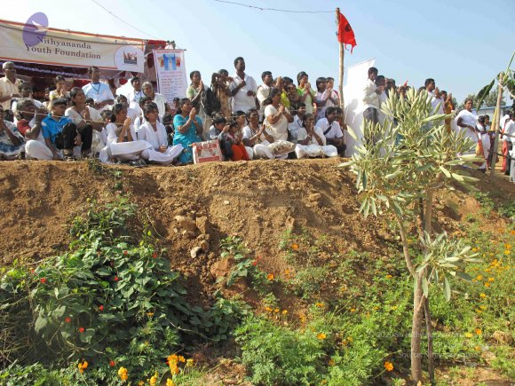 20100101_Photo_1301_IMG_1659_CMP_WM