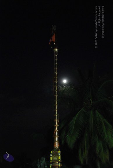 20100101_Photo_1033_DSC_3948_CMP_WM