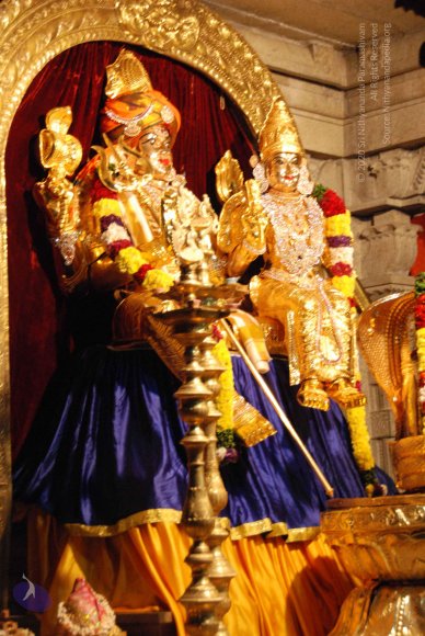 20100101_Photo_1041_DSC_3931_CMP_WM