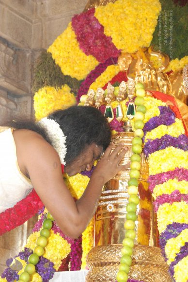 20100101_Photo_1023_DSC_1833_CMP_WM