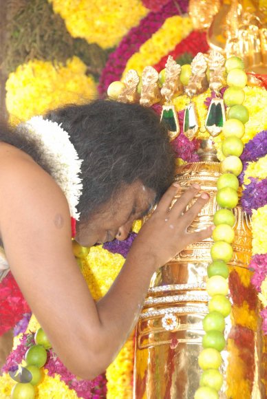 20100101_Photo_1029_DSC_1830_CMP_WM