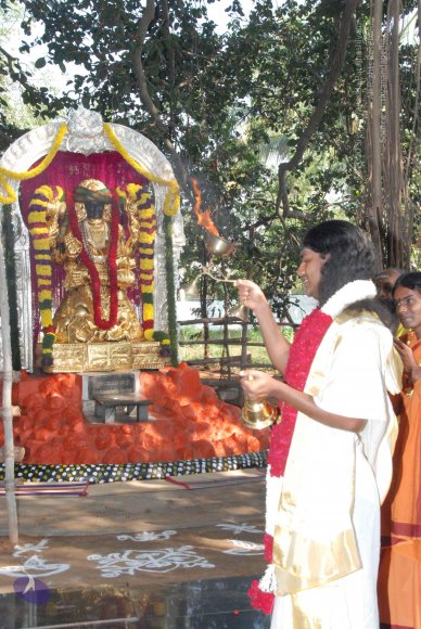 20100101_Photo_1041_DSC_1860_CMP_WM