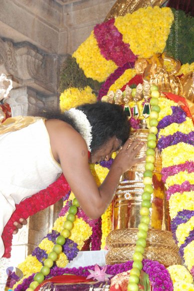 20100101_Photo_1042_DSC_1829_CMP_WM