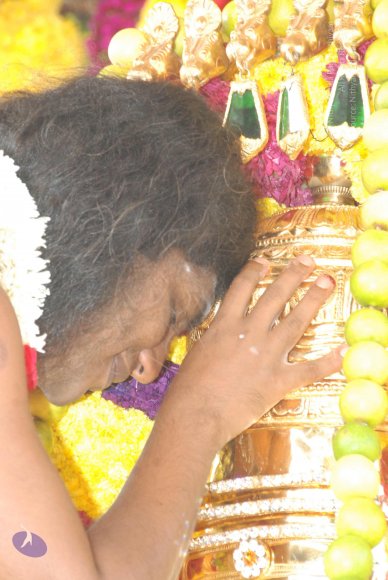 20100101_Photo_1044_DSC_1832_CMP_WM