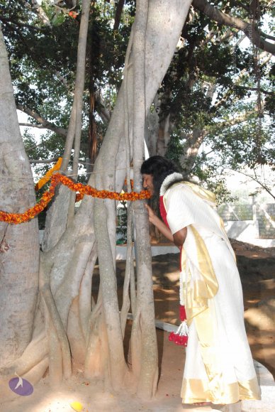 20100101_Photo_1045_DSC_1850_CMP_WM