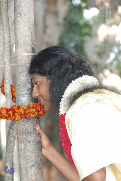 20100101_Photo_1055_DSC_1855_CMP_WM