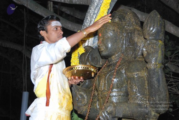 20100101_Photo_1061_DSC_1586_CMP_WM