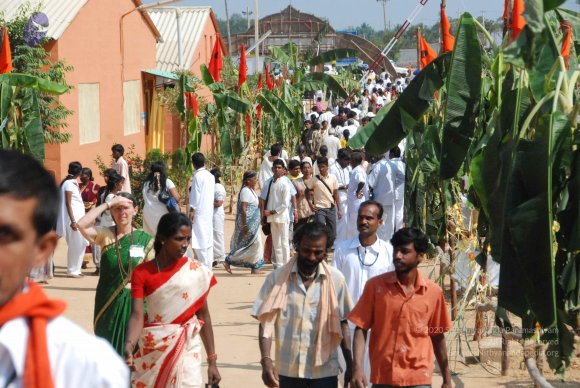 20100101_Photo_1017_DSC_2250_CMP_WM