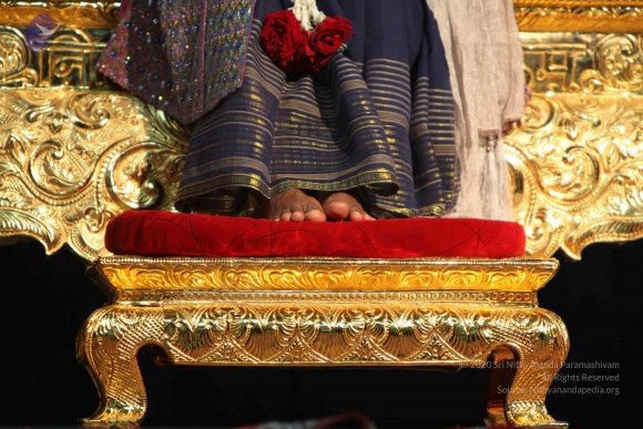 20100101_Photo_1095_IMG_5378_CMP_WM