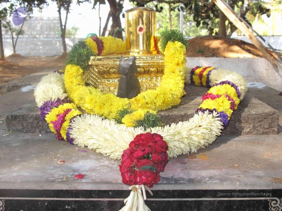 20100101_Photo_1062_IMG_1975_CMP_WM