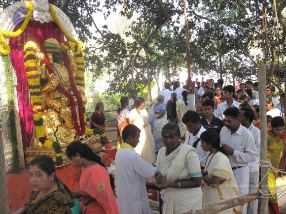 20100101_Photo_1224_IMG_1972_CMP_WM