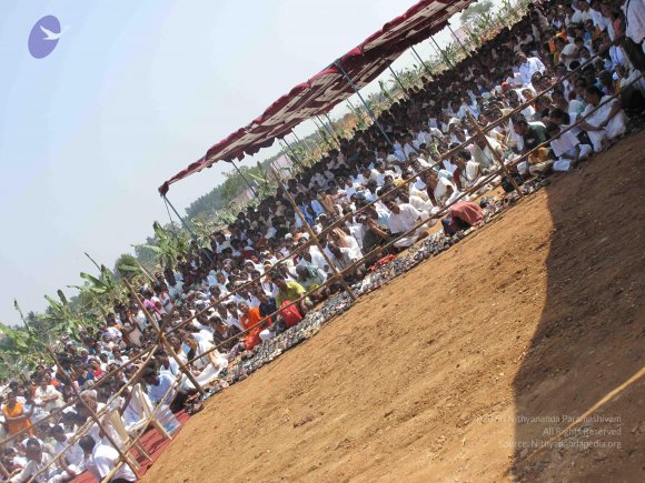 20100101_Photo_1319_IMG_1728_CMP_WM