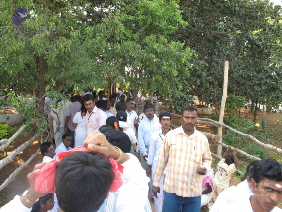 20100101_Photo_1324_IMG_1971_CMP_WM