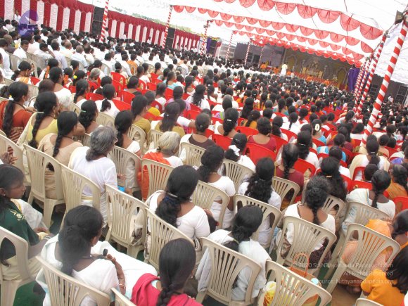 20100101_Photo_1379_IMG_1725_CMP_WM