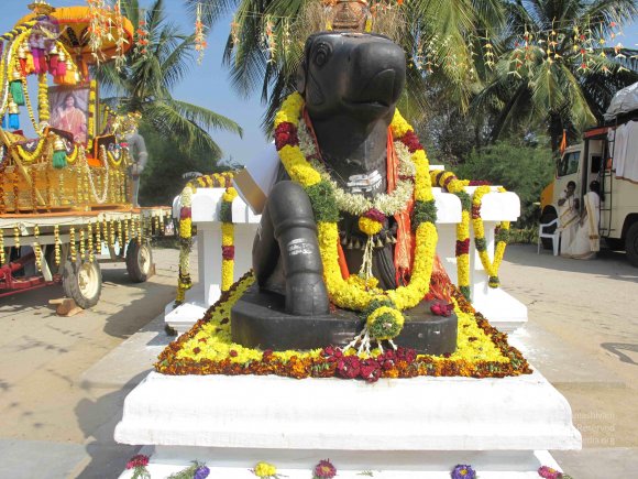 20100101_Photo_1399_IMG_1965_CMP_WM