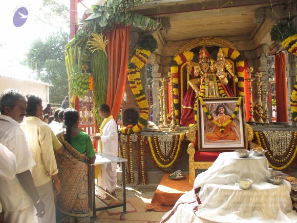 20100101_Photo_1553_IMG_1998_CMP_WM