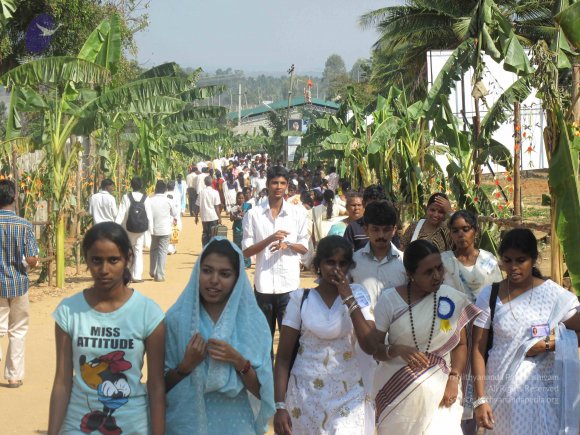 20100101_Photo_1567_IMG_1950_CMP_WM