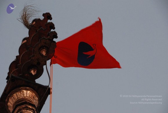 DSC_3763_CMP_WM