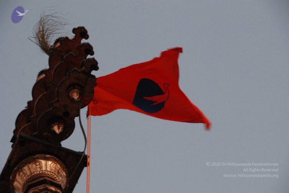 DSC_3764_CMP_WM