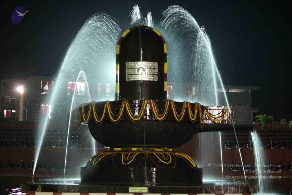 2010_01_04_IMG_0043_CMP_WM