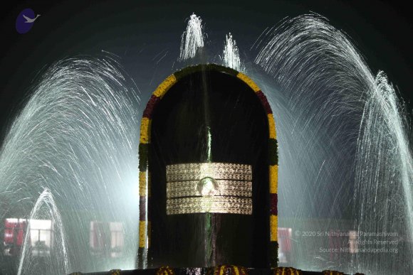 2010_01_04_IMG_0045_CMP_WM