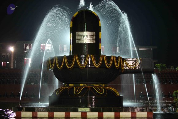 2010_01_04_IMG_0049_CMP_WM