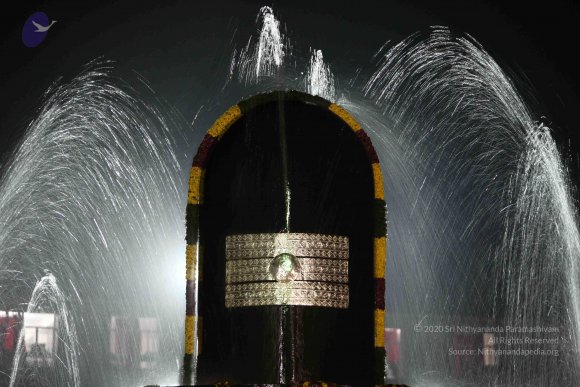 2010_01_04_IMG_0059_CMP_WM