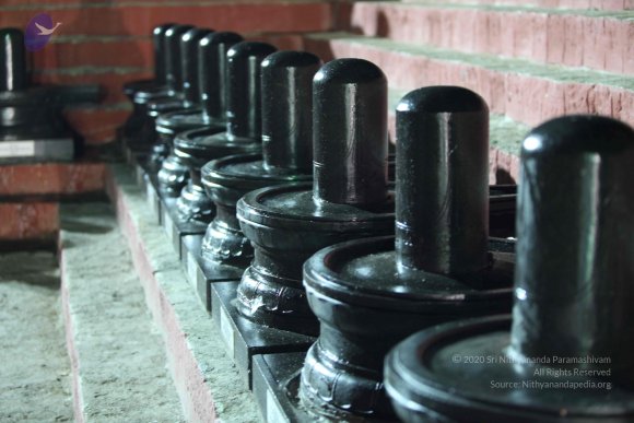 2010_01_04_IMG_0075_CMP_WM