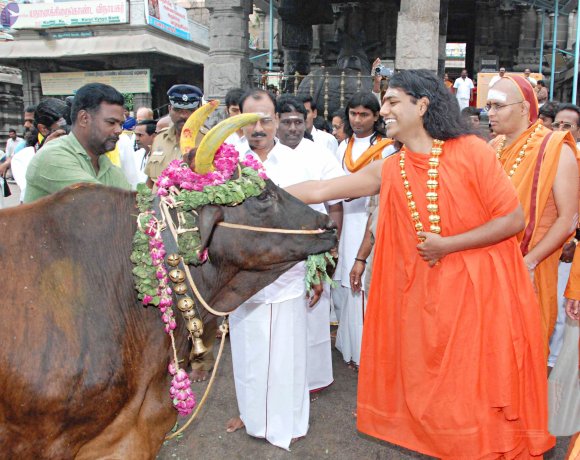 DSC_5725_CMP_WM_batch