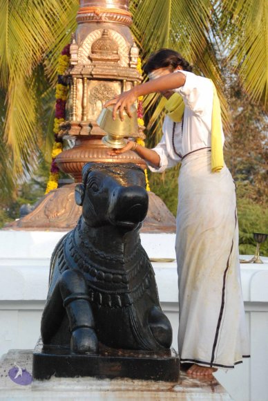 8-Pradosham-at-Bidadi_Photo_1013_DSC_3260_CMP_WM