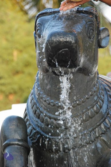 8-Pradosham-at-Bidadi_Photo_1015_DSC_3282_CMP_WM