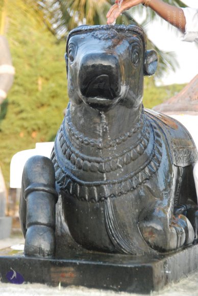 8-Pradosham-at-Bidadi_Photo_1016_DSC_3283_CMP_WM