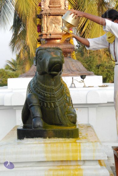 8-Pradosham-at-Bidadi_Photo_1017_DSC_3287_CMP_WM