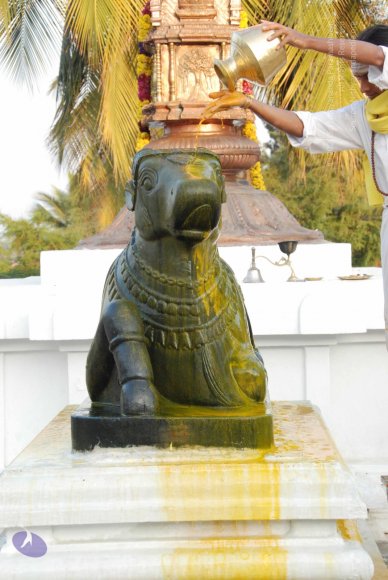 8-Pradosham-at-Bidadi_Photo_1018_DSC_3288_CMP_WM