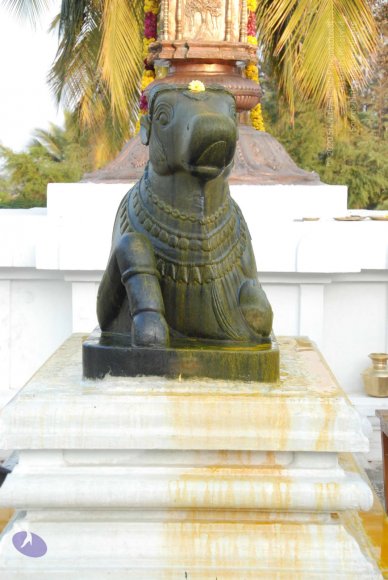 8-Pradosham-at-Bidadi_Photo_1020_DSC_3294_CMP_WM