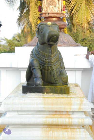 8-Pradosham-at-Bidadi_Photo_1022_DSC_3296_CMP_WM